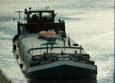 Semper-Spera-2-29-04-2015.jpg