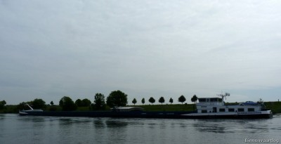 Allegonda-2-23-05-2015.jpg