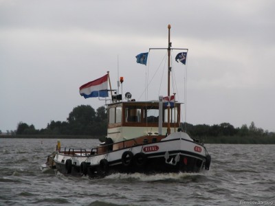 rival-1-13-09-2009.jpg