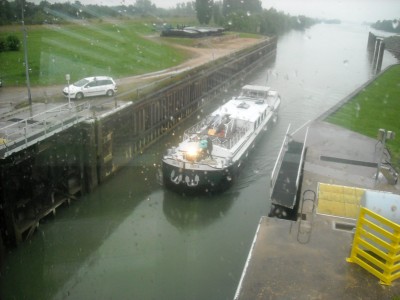 isatis 2.jpg (308.5 Kio) Vu 4950 fois isatis 2.jpg