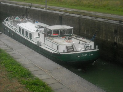 isatis.jpg (523.69 Kio) Vu 5105 fois isatis.jpg