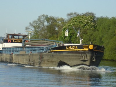 L'ALICIA.JPG