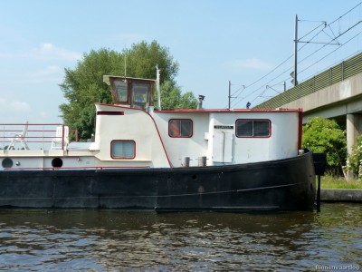 norvicus-3-30-06-2010.jpg