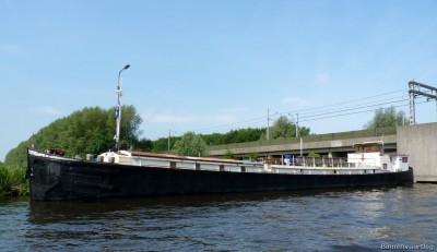 norvicus-2-30-06-2010.jpg