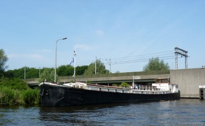 norvicus-1-30-06-2010.jpg