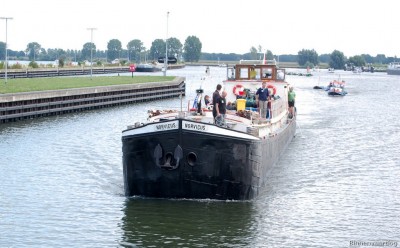 norvicus-2-06-08-2010.jpg