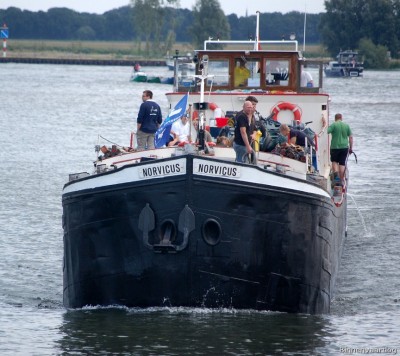 norvicus-1-06-08-2010.jpg