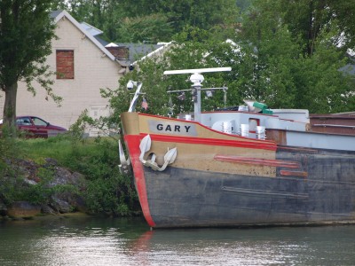 P6053845 (Copier).JPG