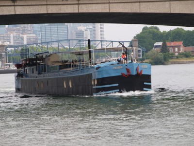 P6204031 (Copier).JPG (512.63 Kio) Vu 3463 fois P6204031 (Copier).JPG