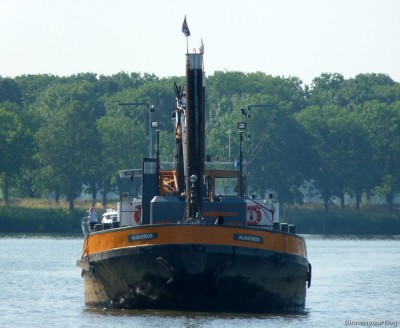 Albatros-1-02-07-2015-Grave-02008181.jpg