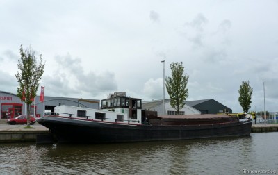 zwerver-ouderkerk-aan-de-ijssel-2-13-09-2010.jpg