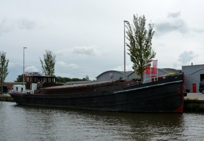 zwerver-ouderkerk-aan-de-ijssel-1-13-09-2010.jpg