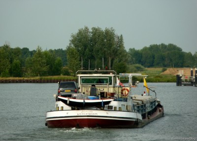 Zephir-6-30-06-2015.jpg
