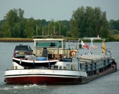 Zephir-5-30-06-2015.jpg
