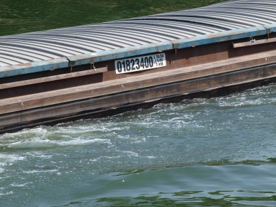 P7034103 (Copier).JPG (552.4 Kio) Vu 4623 fois P7034103 (Copier).JPG