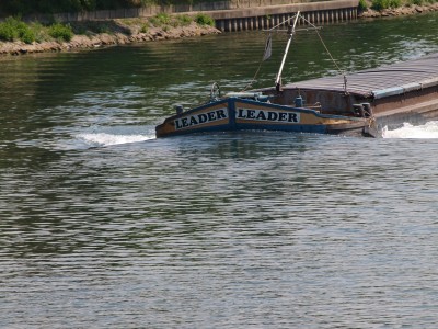 P7034101 (Copier).JPG (587.1 Kio) Vu 4623 fois P7034101 (Copier).JPG