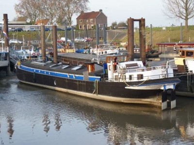 Waalrus-2008.jpg