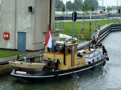 Cornelia-6-27-07-2015.jpg
