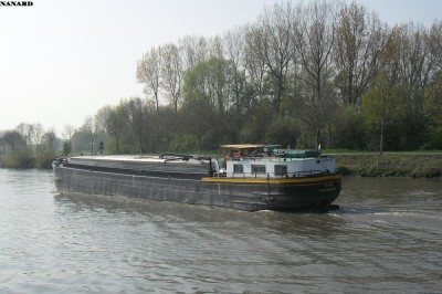 SAM_5457.JPG (144.22 Kio) Vu 1920 fois SAM_5457.JPG