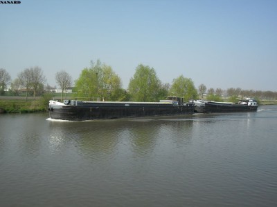 SAM_5446.JPG (82.64 Kio) Vu 5005 fois SAM_5446.JPG