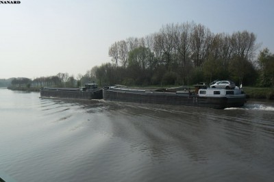 SAM_5450.JPG (79.43 Kio) Vu 5005 fois SAM_5450.JPG