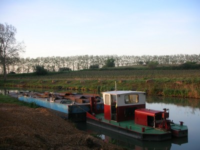 DSCN4599.JPG