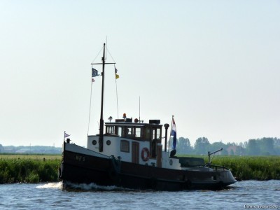 nes-2-28-05-2012.jpg