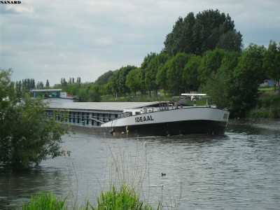 SAM_5513.JPG (141.38 Kio) Vu 1509 fois SAM_5513.JPG