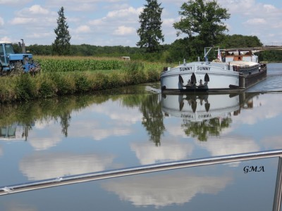 sunny-bief p (3).JPG (390.94 Kio) Vu 5328 fois sunny-bief p (3).JPG