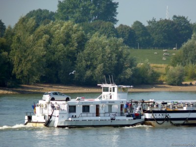 Gino-Suanca-4-30-08-2015-Lobith.jpg (213.27 Kio) Vu 2616 fois Gino-Suanca-4-30-08-2015-Lobith.jpg