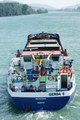 DSC01087.jpg (56.76 Kio) Vu 8607 fois DSC01087.jpg