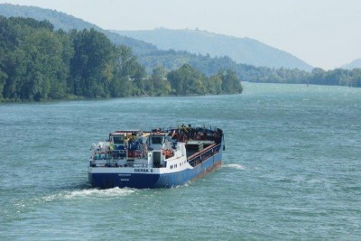 DSC01090.jpg (73.88 Kio) Vu 8607 fois DSC01090.jpg