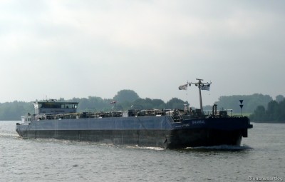 Shamal-2-28-08-2015-Bijland.jpg