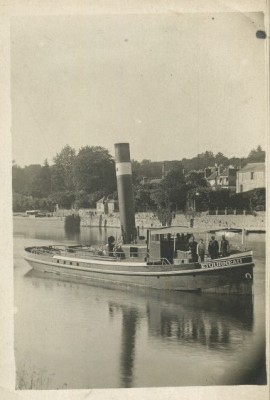 Etourneau - 2.jpg (85.59 Kio) Vu 2283 fois Etourneau - 2.jpg