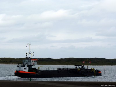 Adelaar-7-17-09-2015.jpg