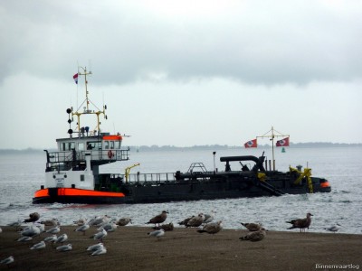 Adelaar-4-17-09-2015.jpg