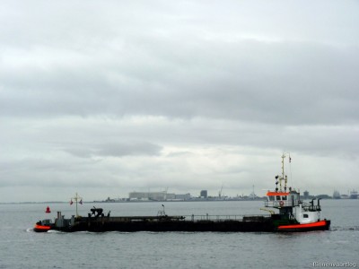 Adelaar-3-17-09-2015.jpg