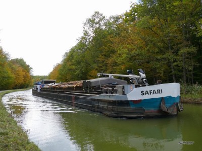 safari - canal des Houillères (1) (Copier).JPG