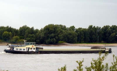 Nauta-3-24-09-2015-Oosterhout.jpg