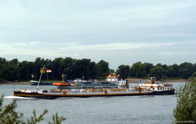 Benjamin-1-24-09-2015-Oosterhout.jpg