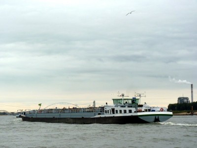 Re-Gina-4-24-09-2015-Oosterhout.jpg (54.14 Kio) Vu 1546 fois Re-Gina-4-24-09-2015-Oosterhout.jpg