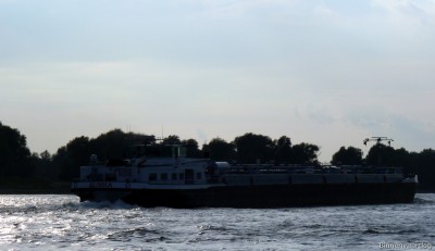 Alnika-5-20-09-2015-Oosterhout.jpg (105.09 Kio) Vu 2396 fois Alnika-5-20-09-2015-Oosterhout.jpg