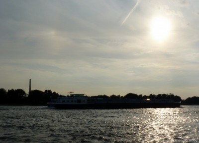 Alnika-3-20-09-2015-Oosterhout.jpg (132.59 Kio) Vu 2396 fois Alnika-3-20-09-2015-Oosterhout.jpg