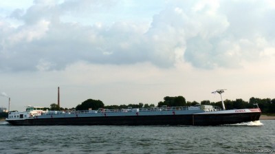 Alnika-2-20-09-2015-Oosterhout.jpg (106.5 Kio) Vu 2396 fois Alnika-2-20-09-2015-Oosterhout.jpg