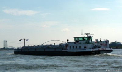 Alnika-6-21-09-2015.jpg