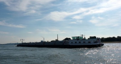 Alnika-4-21-09-2015.jpg