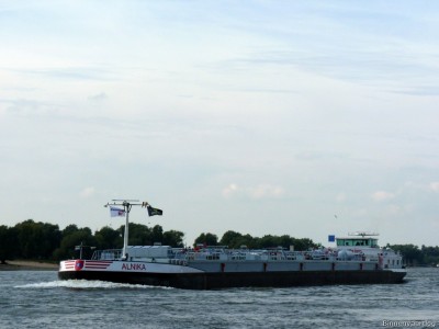 Alnika-2-21-09-2015.jpg