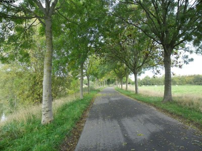 SAM_5771.JPG (245.19 Kio) Vu 4382 fois SAM_5771.JPG