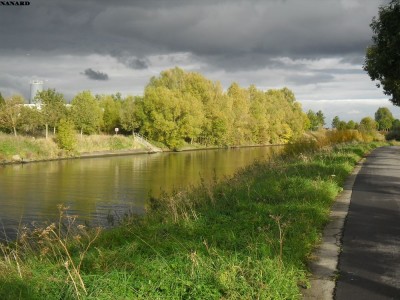 SAM_5780.JPG (168.36 Kio) Vu 4382 fois SAM_5780.JPG