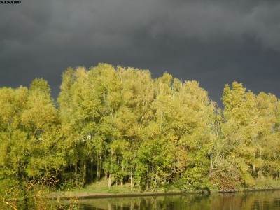 SAM_5784.JPG (185.6 Kio) Vu 4382 fois SAM_5784.JPG